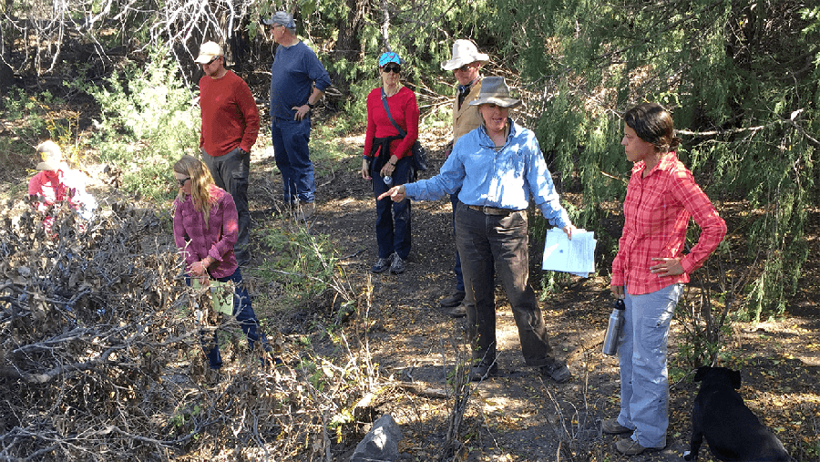 researcher taking samples