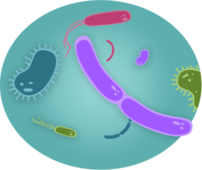 Closeup of various microbes found in surface water